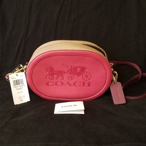 NEW Coach Leather Crossbody Camera Bag